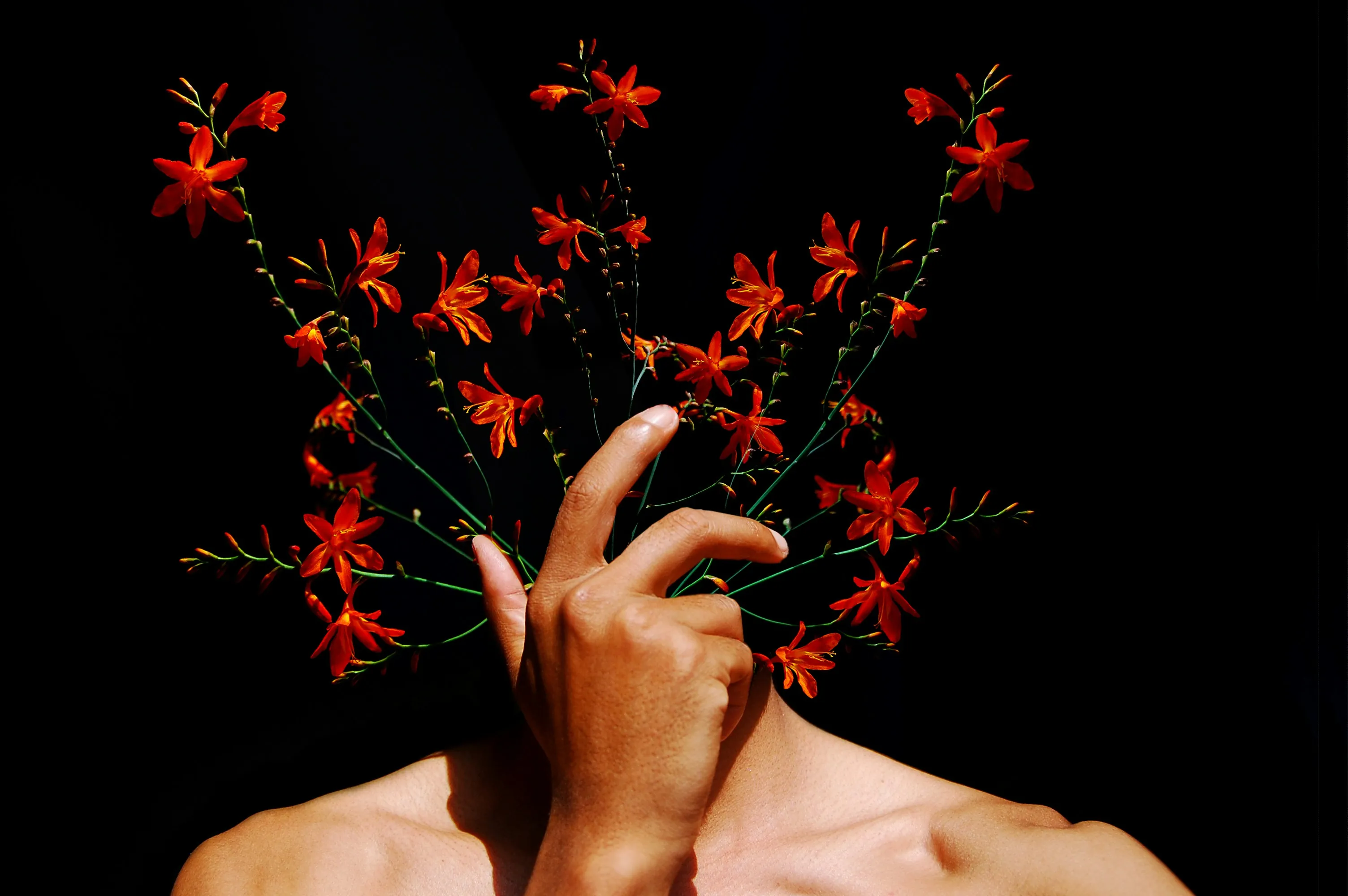 Visuales preview image